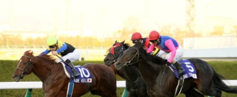 病で表舞台から消えた“砂のディープインパクト”が奇跡の復活！２度の手術へて３年ぶりＶ…チャンピオンズＣ過去の名勝負