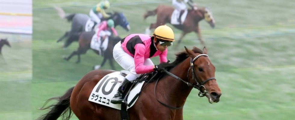 【注目馬動向】東京デビュー戦で５馬身差Ｖのラヴェニューは戸崎圭太騎手とのコンビでホープフルＳへ