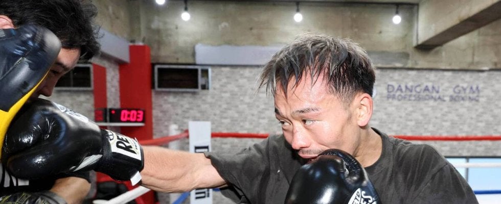 ＷＢＡ王者・堤聖也、挑戦者決定戦出場の井岡一翔とは「今後やる流れが強まる」　来年５月予定の東京ドーム興行参戦にも意欲…１７日ドネアとＶ２戦