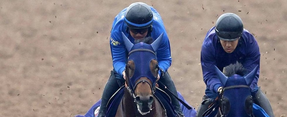 【チャンピオンズＣ】「ナルカミはナルカミ。勝つチャンスはある」　厩舎の３連覇かかる愛馬に田中博調教師は自信