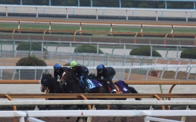 アランカール、阪神JF1週前追い切り速報/栗東トレセンニュース