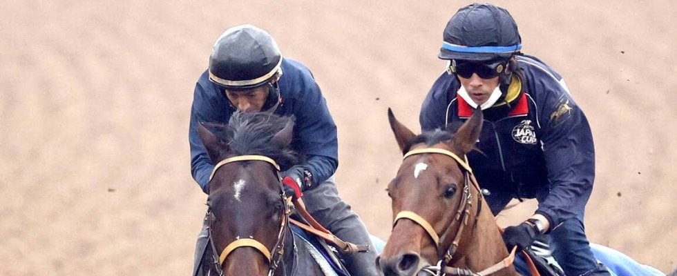 【チャンピオンズＣ】中央Ｇ１初挑戦のルクソールカフェは気配良好　堀調教師「初めての中京でも安心している」