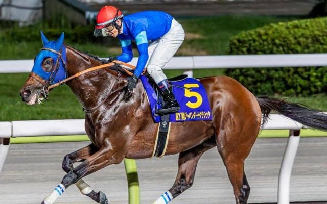 【チャンピオンズC】今年も田中博康厩舎×ゴドルフィンに要注目 ナルカミが6年ぶりの3歳馬Vなるか