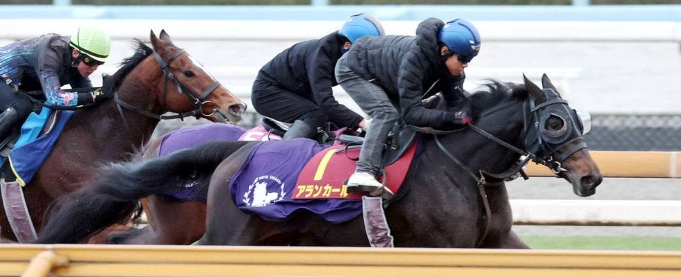 【阪神ＪＦ・１週前】無傷２連勝中のアランカールは抜群の伸び　北村友一騎手「休み明けを感じさせない動きでした」