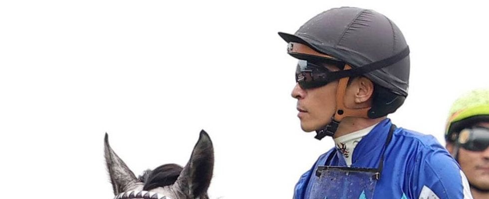 【注目馬動向・３歳＆古馬】アドマイヤテラは川田将雅騎手とのコンビ継続で有馬記念へ