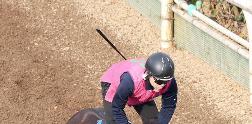 【鳴尾記念】ウエストナウがＣＷコースで抜群の伸び脚　佐々木調教師「気持ちが乗っているから反応が良かった」