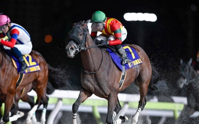 【大井・勝島王冠結果】キングストンボーイが連覇で重賞4勝目を挙げる