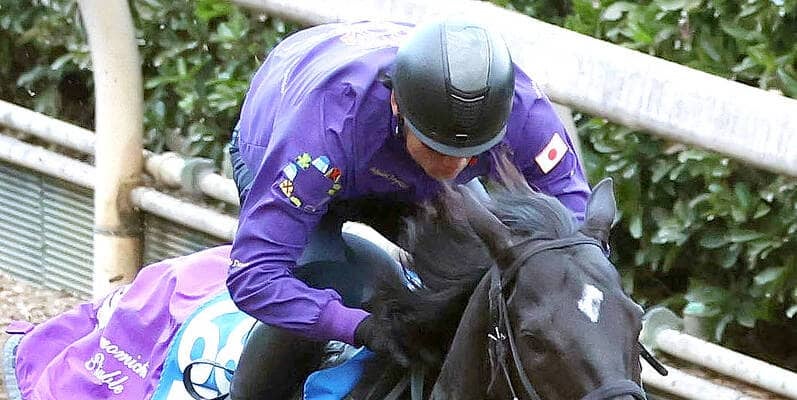 【鳴尾記念】グランヴィノスが久々感じさせぬ力強い脚さばき　友道調教師「最後までしっかり走れていた」