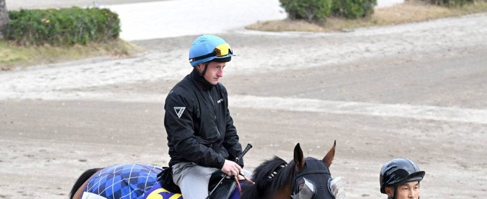 ２３年エリザベス女王杯覇者ブレイディヴェーグが現役引退　繁殖入りへ　宮田調教師「本当にいい夢を見させてもらいました」