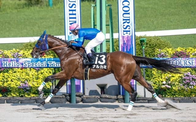 【チャンピオンズC展望】3歳馬ナルカミが世代交代を告げる