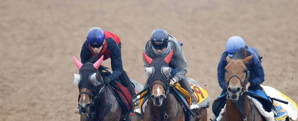 【阪神ＪＦ・１週前】アルテミスＳ２着ミツカネベネラは追うごとに上昇　津村明秀騎手「動きとしては満足」