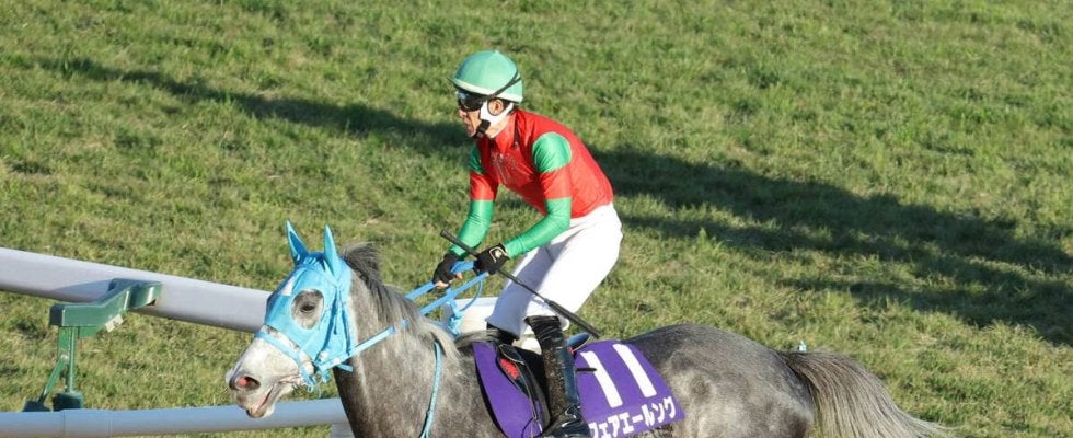 ２５年の小倉牝馬Ｓを制したフェアエールングが抹消　今後は北海道新冠町のビッグレッドファームで繁殖入りへ