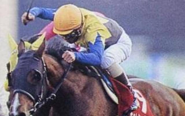 「抽せん馬」で最も賞金を獲得した馬 ホットシークレットが制したステイヤーズSを回想