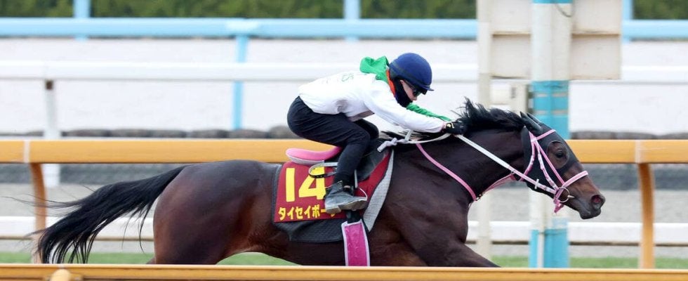 【阪神ＪＦ・１週前】まだまだ上昇気配！　栗東・ＣＷコースで好時計　タイセイボーグに松下調教師「だんだんしっかりしてきている」