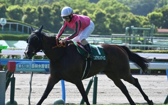 今年の小倉記念覇者イングランドアイズが登録抹消 社台ファームで繁殖馬になる予定