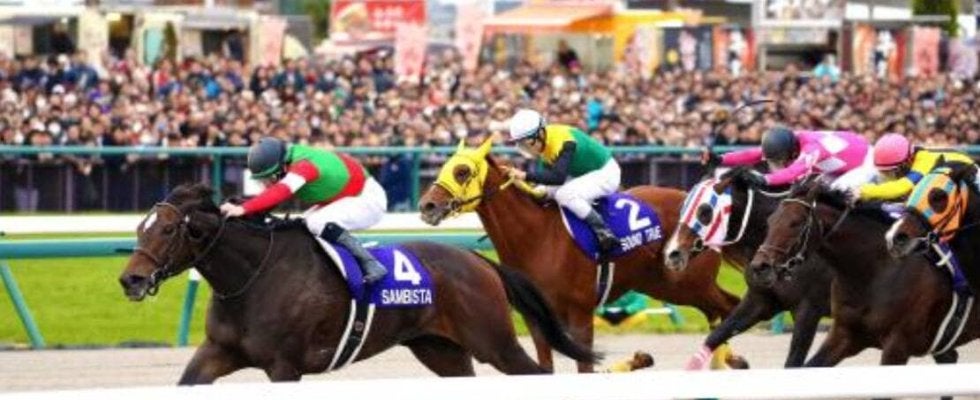 １２番人気「６歳牝馬」の大波乱に悲鳴！強豪牡馬を蹴散らし“砂の女王”に…チャンピオンズＣ過去の名勝負