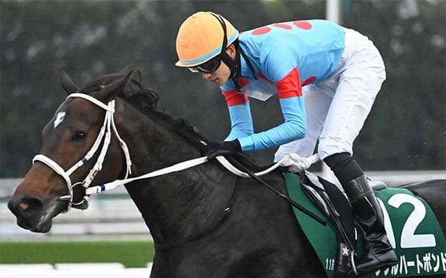 【チャンピオンズC】坂井瑠星騎手がレース史上初の3連覇へ みやこS覇者のダブルハートボンドで参戦