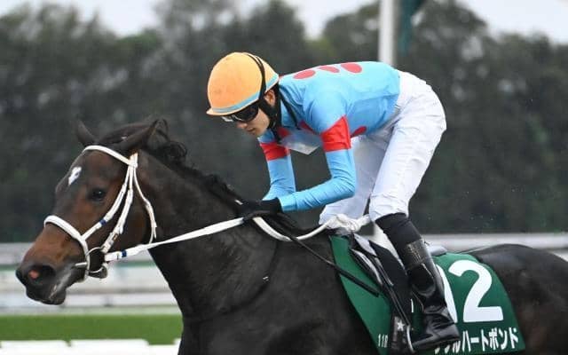 【チャンピオンズC枠順確定】ダブルハートボンドは1枠2番、ナルカミは6枠12番