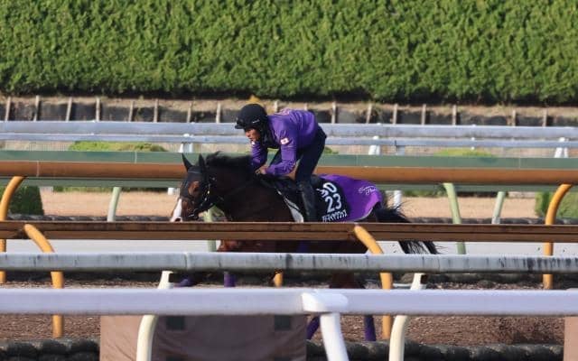 アドマイヤクワッズ、朝日杯FS2週前追い切り速報/栗東トレセンニュース