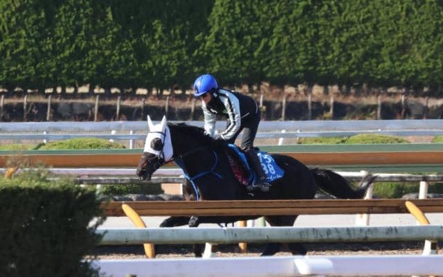 ネビーイーム、中山大障害追い切り速報/栗東トレセンニュース