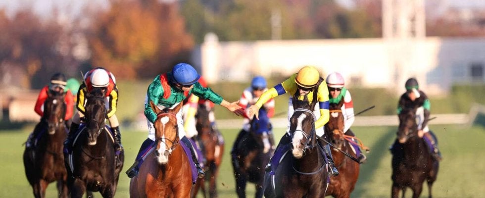 【ジャパンＣ】ＪＲＡがレーティング発表　カランダガンは１３０ポンド　マスカレードボールが１２９ポンドで続く