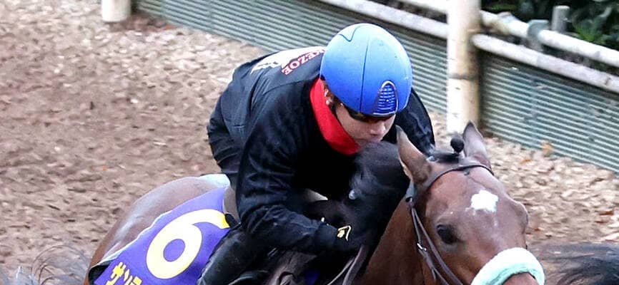 【チャンピオンズＣ】これまで勝ち馬はなし　１３番枠にもサンライズジパング陣営は前向き「外枠の方がレースはしやすい」