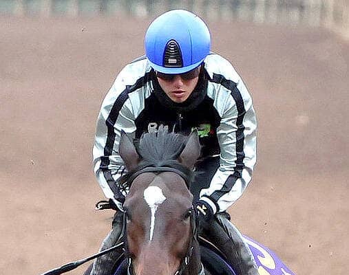 【チャンピオンズＣ】復調一途のラムジェットは４枠７番　陣営「悪くはない。どこかで最後外に出して…」