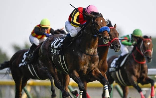 【ステイヤーズS出走馬・騎手確定】クロミナンス＆C.ルメール騎手、ホーエリート＆戸崎圭太騎手など14頭