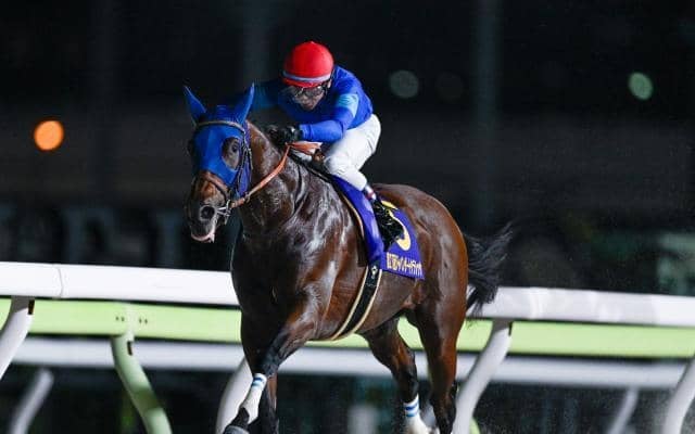 【チャンピオンズC・調教後馬体重】ナルカミは517kg、ダブルハートボンドは482kg