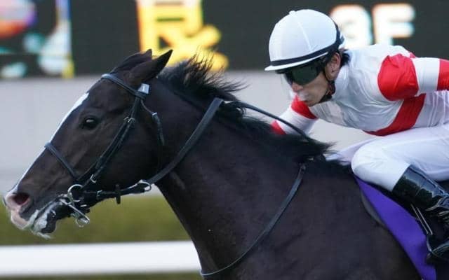 半兄は2歳王者 「ウマ娘」藤田晋オーナーのドンテスタマスターがデビュー