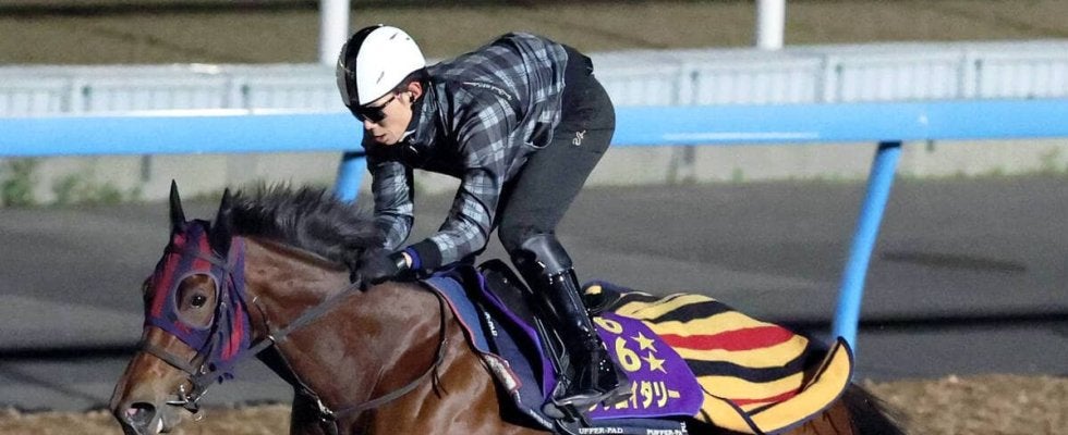 【香港マイル】エンブロイダリーは一杯に追われ鋭く伸びる　森一調教師「時計的にも予定通り」
