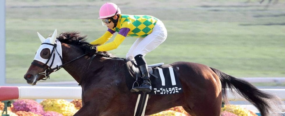 【阪神ＪＦ】「スーパースターが空いていたのもラッキー」２連勝マーゴットラヴミーは武豊騎手で参戦　小林調教師にんまり