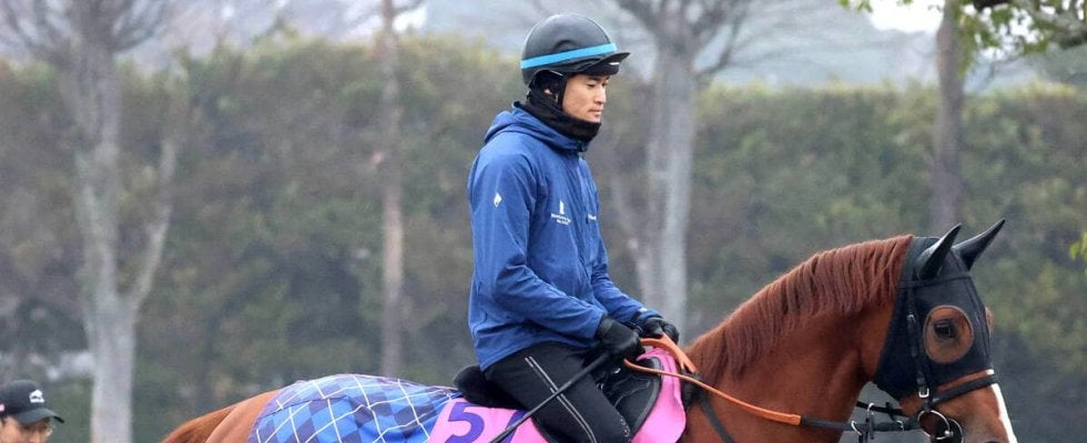 【ＰＯＧ】父は凱旋門賞馬　エラルディークは中山ダートでデビュー　宮田敬介調教師「気性は素直」