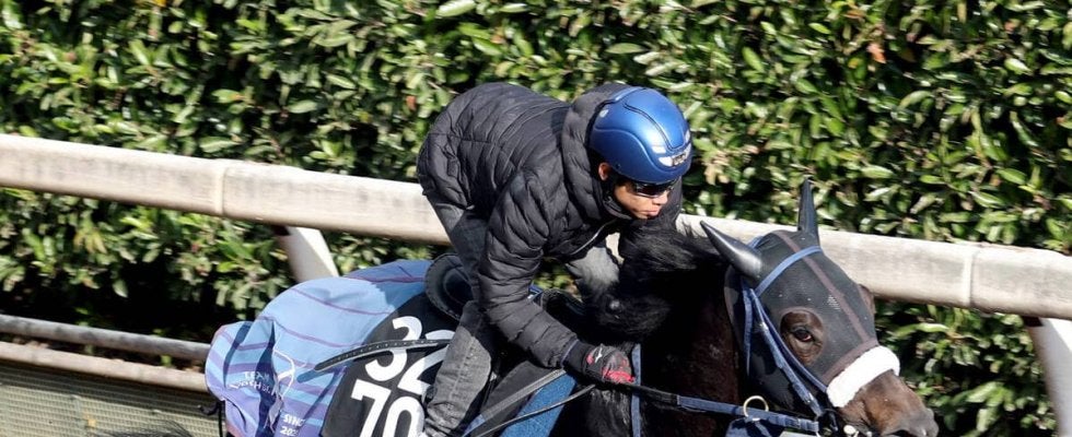【注目馬動向】京都２歳Ｓの勝ち馬ジャスティンビスタはホープフルＳへ　カヴァレリッツォは朝日杯ＦＳに向かう