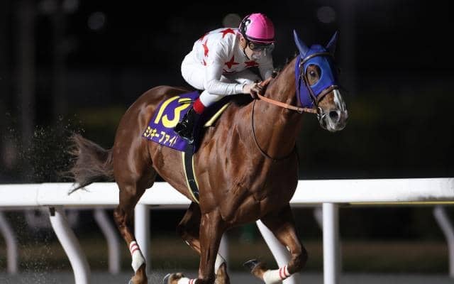 【芝とダートの総決算】有馬記念＆東京大賞典の注目馬を血統から探る！