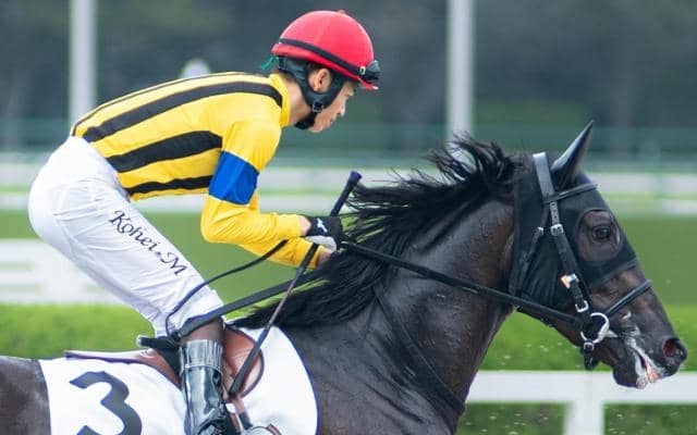 半兄はGI・4勝のジャンタルマンタル ウンナターシャが今度こそ初勝利なるか