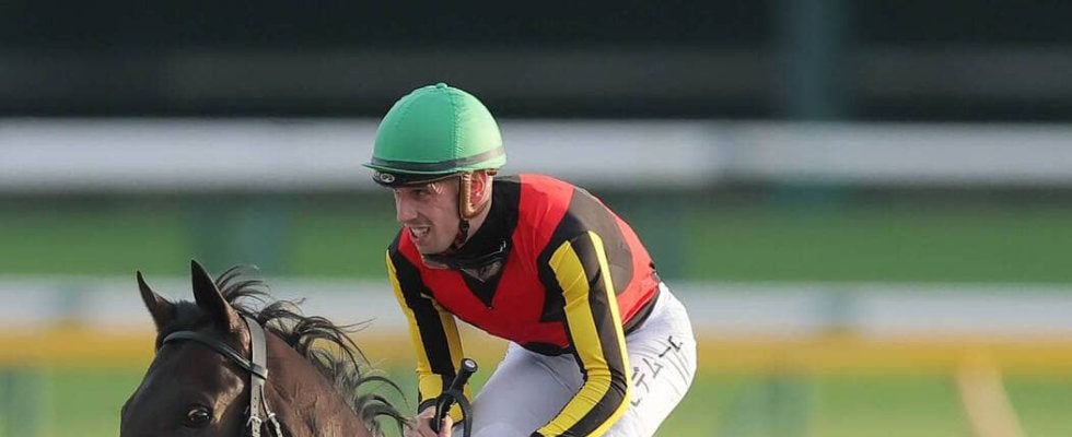 【注目馬動向】有馬記念参戦のミュージアムマイルはＣデムーロ騎手に継続騎乗を依頼　天皇賞・秋で２着