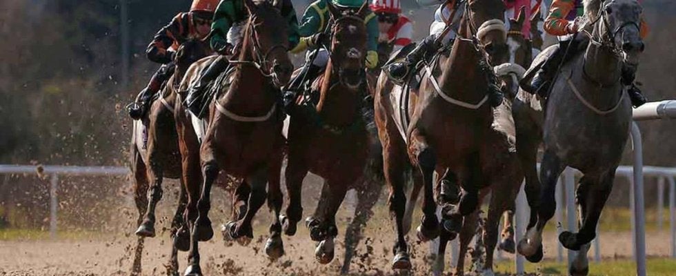 【チャンピオンズC／全頭診断】想定6人気以下の4歳馬に「2.0.1.0」　ダブルハートボンドに全幅の信頼は……