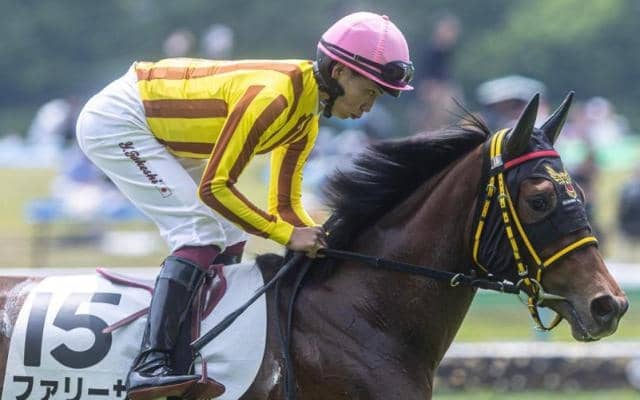 【市川S】ダート転向後は4戦3勝 ファリーザがオープン入り狙う
