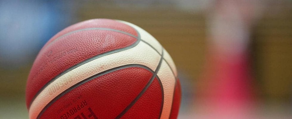 【バスケ】B1秋田に元宇都宮のマクリーン加入　203センチの「経験豊富なビッグマン」