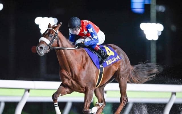 【大井・ジェムストーン賞結果】8番人気ベイビークエストが連勝で重賞初制覇 3連単74万1140円の大波乱