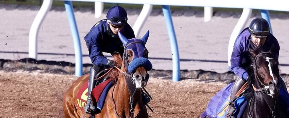 【阪神ＪＦ】２連勝中アルバンヌが坂井瑠星騎手で追走先着　田中博調教師「ジョッキーに確認してもらえて良かった」