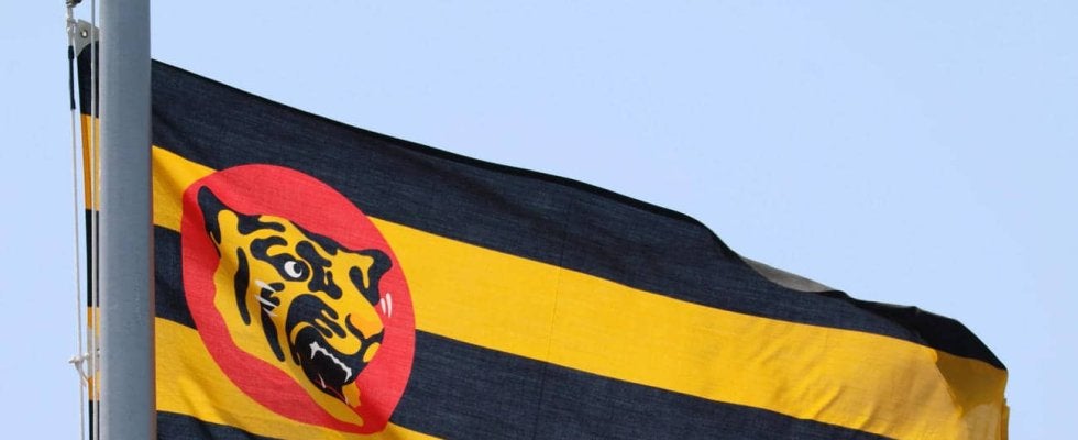 【阪神】２億円つぎ込み最新鋭バーチャル打撃マシンを導入　大谷翔平も愛用　選手から要望の声　