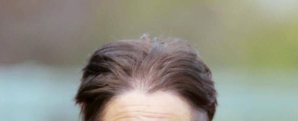 【岩田康誠の熱血！！競馬道】チャンピオンズＣのハギノアレグリアス厳しい戦い覚悟も「ロスない立ち回りで一発狙います」