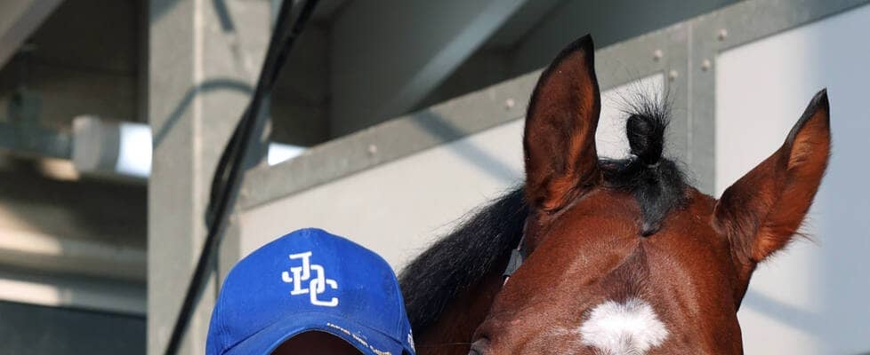 【チャンピオンズＣ】「ずっと気にかけていた」サンライズジパングと”再タッグ”　平井助手が大舞台へ思い語る