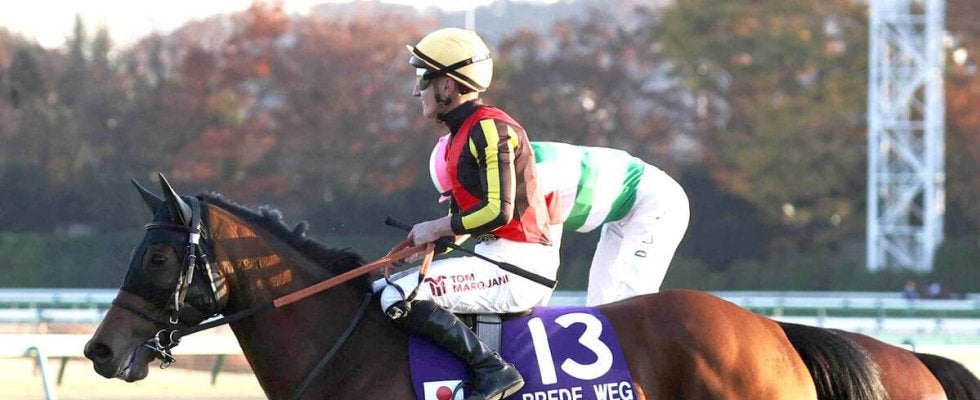 「世界最強馬を産んで」「ずっと忘れない」惜別＆ねぎらいの声続出　競走馬登録抹消＆繁殖入りブレイディヴェーグに　