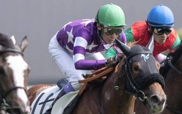 馬主はソフトバンクの柳田悠岐選手 ベンティガスエルテがダート替わりで初勝利なるか