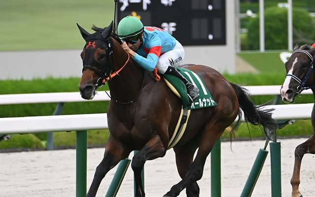 【鳴尾記念枠順確定】オールナットは8枠14番、グランヴィノスは8枠13番