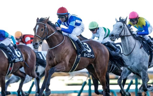 【ステイヤーズS枠順確定】ホーエリートは3枠3番、クロミナンスは5枠7番