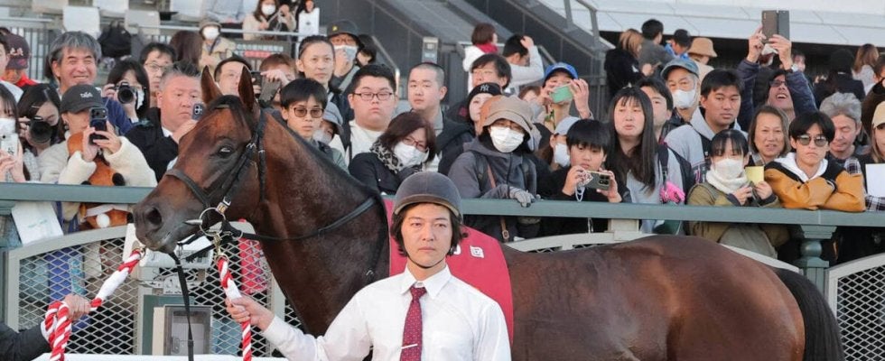 【注目馬動向】京阪杯で重賞初制覇のエーティーマクフィはシルクロードＳ、同９着のモズメイメイは阪神Ｃへ